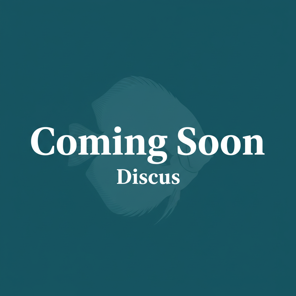 Discus – Coming Soon Full Bleed
